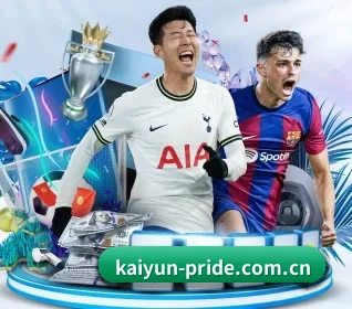 五大服务分区,信息按项目分类 | kaiyun